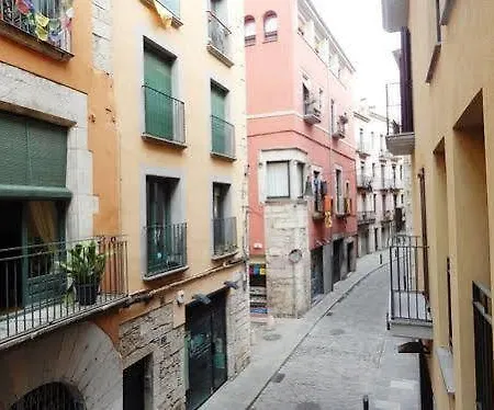 Daire Gran Estudio Barri Vell *