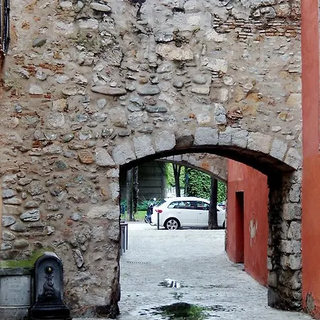 Gran Estudio Barri Vell