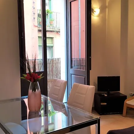 Lejlighed Gran Estudio Barri Vell Girona